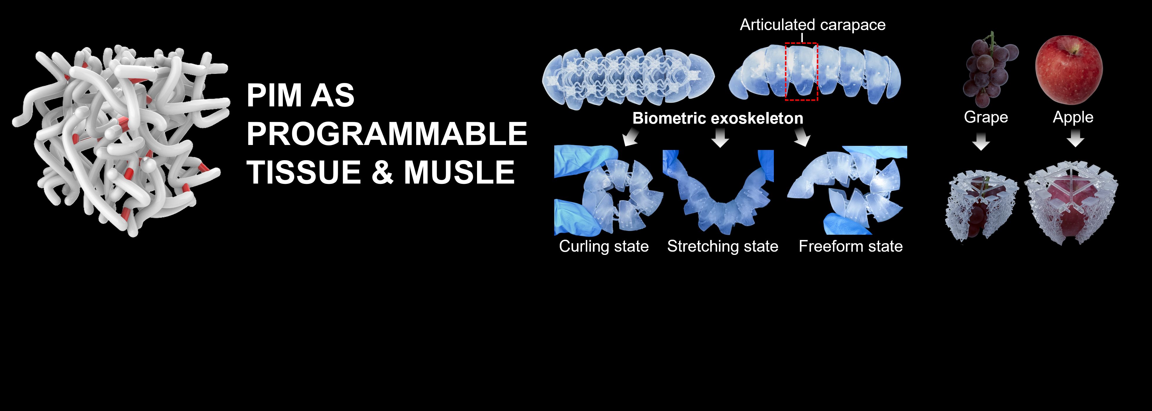 Polymer-inspired metamaterial programming system